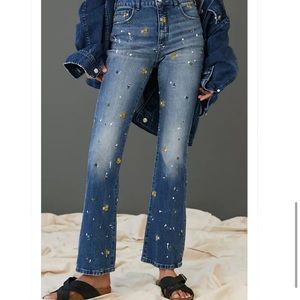 Anthro icon embroidered